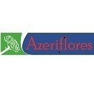 FLORICOLA AZERIFLORES S.A. FLORICOLA AZERIFLORES S.A.